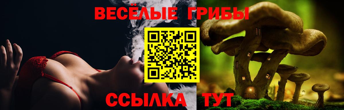 Чита  Псилоцибиновые грибы Magic Shrooms  Вход с VPN 